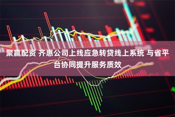 聚赢配资 齐惠公司上线应急转贷线上系统 与省平台协同提升服务质效