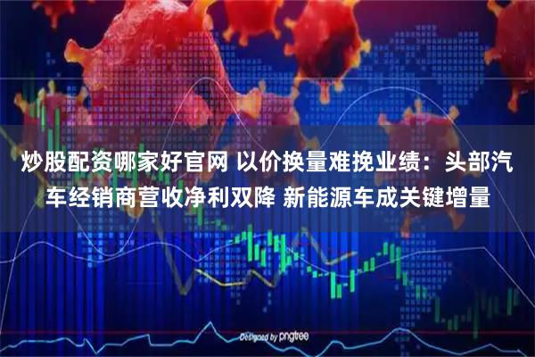 炒股配资哪家好官网 以价换量难挽业绩：头部汽车经销商营收净利双降 新能源车成关键增量
